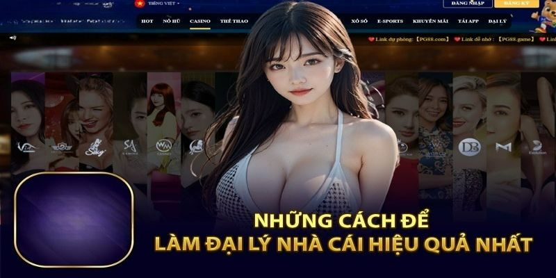 Cách để phát huy vai trò đại lý PG88